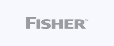 Fisher Governor